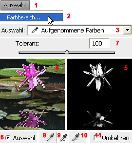 MULTIMEDIA WEBDESIGN FOTO GRAFIK  PHOTOSHOP 