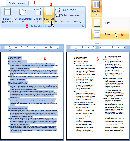 EDV  IT SOFTWARE  OFFICE 