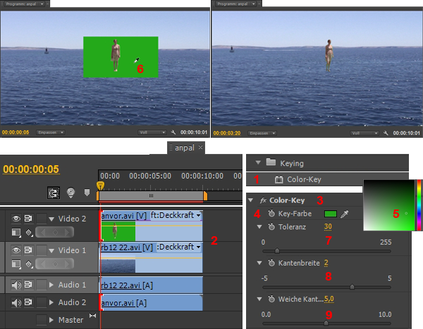 MULTIMEDIA WEBDESIGN VIDEO TV FILM  PREMIERE 