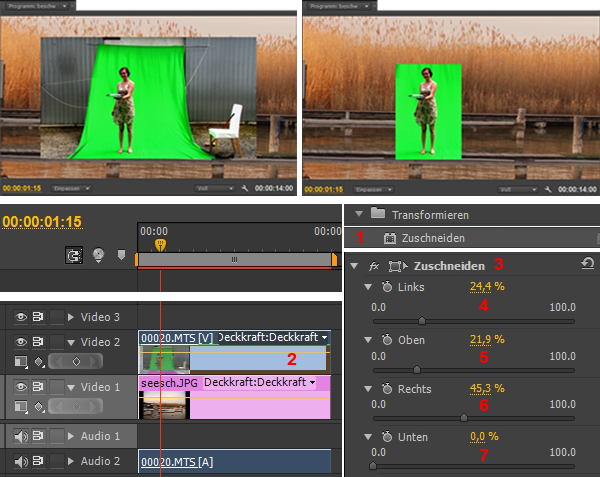 MULTIMEDIA WEBDESIGN VIDEO TV FILM  PREMIERE 