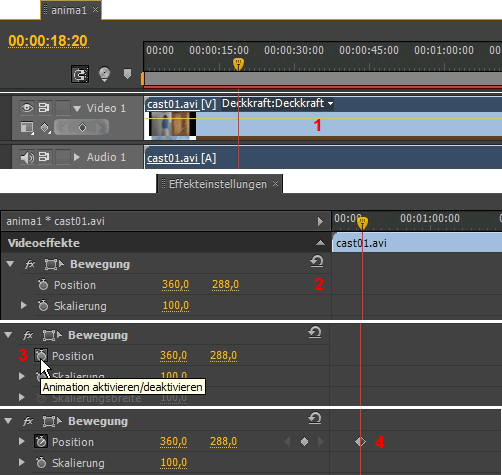 MULTIMEDIA WEBDESIGN VIDEO TV FILM  PREMIERE 