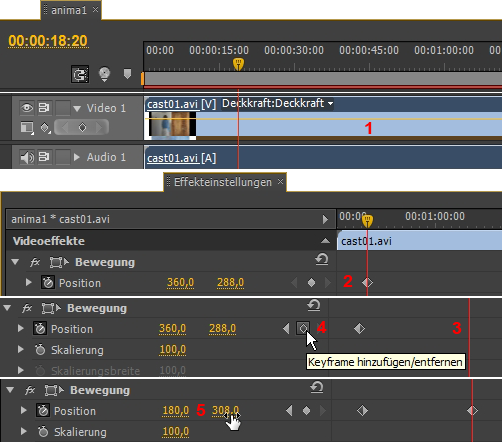 MULTIMEDIA WEBDESIGN VIDEO TV FILM  PREMIERE 