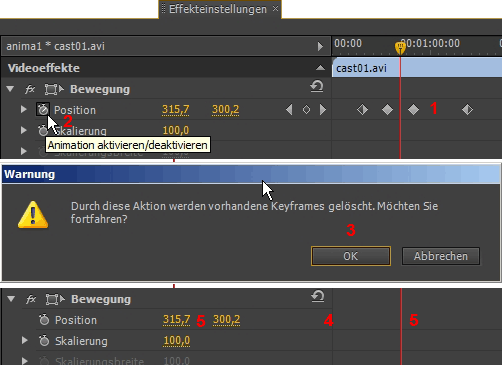 MULTIMEDIA WEBDESIGN VIDEO TV FILM  PREMIERE 