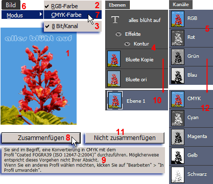 MULTIMEDIA WEBDESIGN FOTO GRAFIK  PHOTOSHOP 