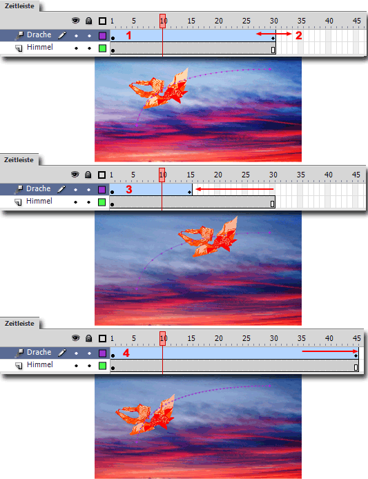 MULTIMEDIA WEBDESIGN ANIMATION  FLASH 