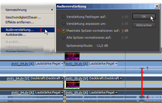 MULTIMEDIA WEBDESIGN VIDEO TV FILM  PREMIERE 