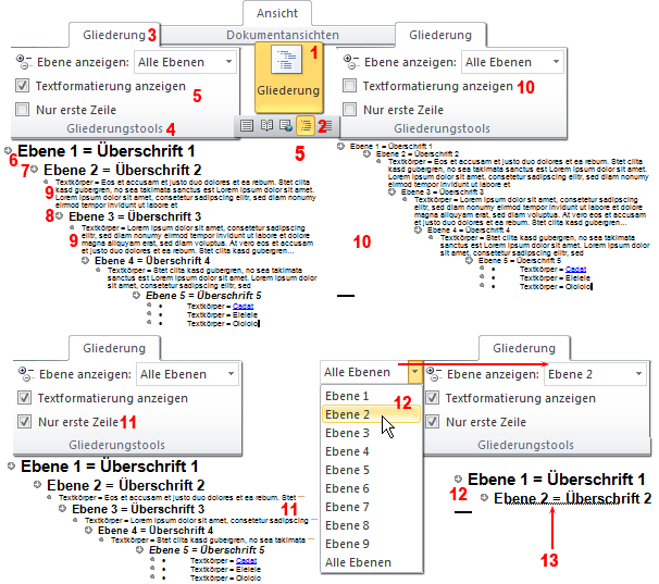 EDV  IT SOFTWARE  OFFICE 