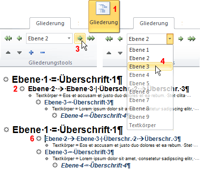 EDV  IT SOFTWARE  OFFICE 