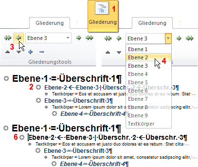 EDV  IT SOFTWARE  OFFICE 
