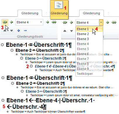 EDV  IT SOFTWARE  OFFICE 