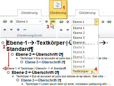 EDV  IT SOFTWARE  OFFICE 