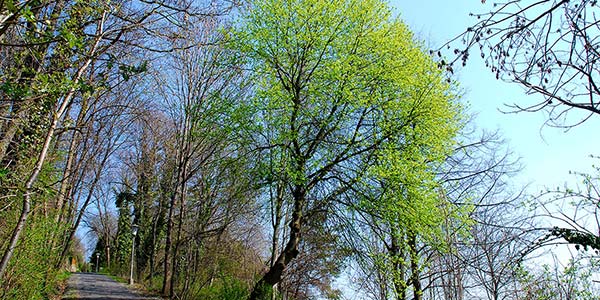 Zufallsbild 2