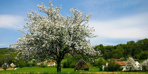 Zufallsbild 2