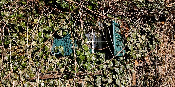 Zufallsbild 2