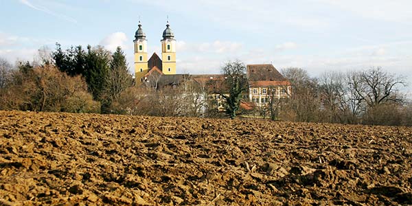 Zufallsbild 2