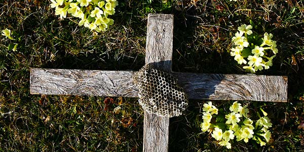 Zufallsbild 2