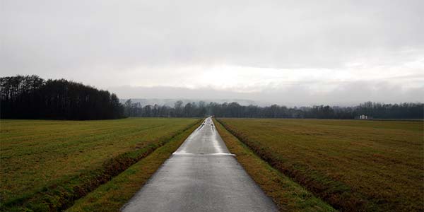 Zufallsbild 2